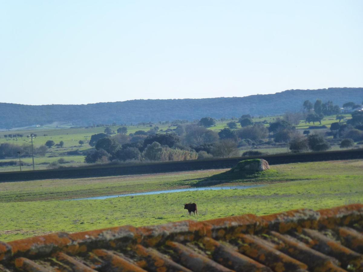 Monte das Oliveiras Arraiolos Exterior foto